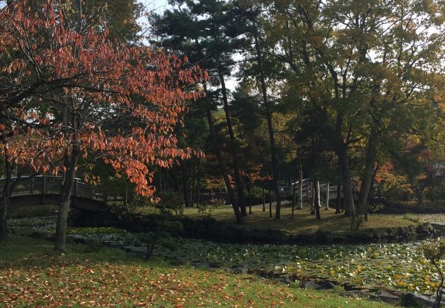 素敵な日本庭園