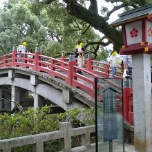 心字池に架かる赤い太鼓橋