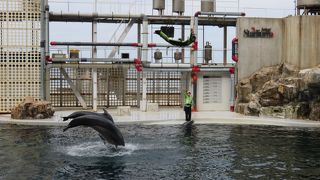 海獣ショー充実