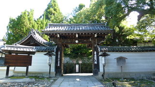 門の右手の楠木には迫力がある！