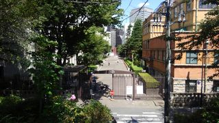 都心のど真ん中にある緑豊かなキャンパス