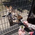 子連れには楽しい動物園と遊園地の複合施設