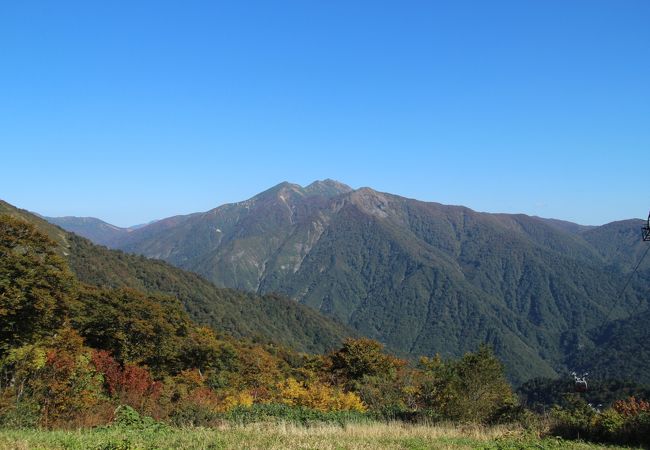 漢字の「山」に見える