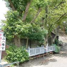 水尾神社の西側の階段を登るとあります