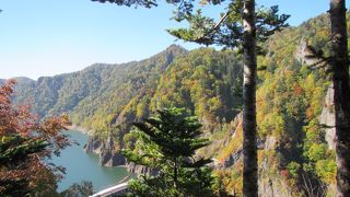 レストハウスよりも更に上のアングルから