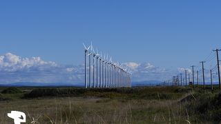 絶景の海岸線に並ぶ風車群は圧巻