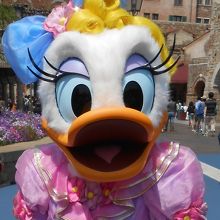 デイジーちゃん