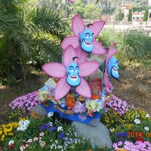 ジーニーのトランク