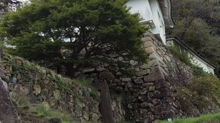 出石の町が一望出来ます