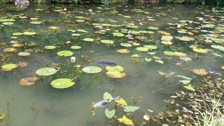 週末は混んでいました