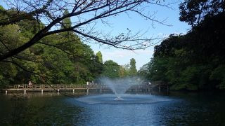 大都会東京でホッとできる場所