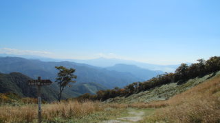 紅葉には少し早かったか