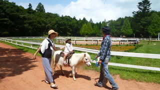 富士山の高原にあるサファリ