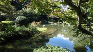 風情ある回遊式庭園