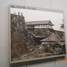 荒廃した旧江戸城の写真。