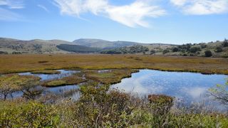 脱コンクリートジャングル！