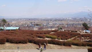 家族で楽しめます