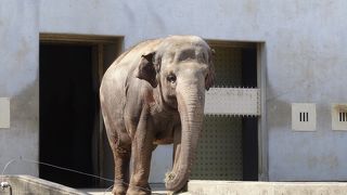 長野市最大の動物園