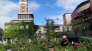 ファミリーで楽しめます