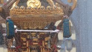 深川祭サイコー！！