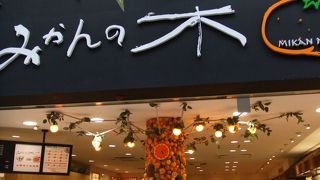 ハイカラ通りのみかんの木