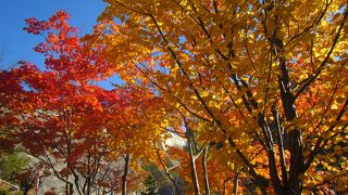 資料館、ダム堰堤上、小天狗岳へ