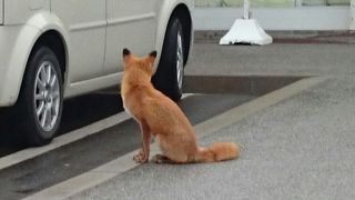 夜はライトアップ！