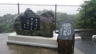 大雨でも見えました