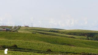 広大、スケールの大きな風景が目の前に