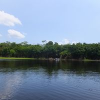マナウス 天気 気候 服装 ブラジル 旅行のクチコミサイト フォートラベル