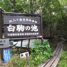 キャンプ場のあたり。