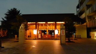 凛とした雰囲気が良い！