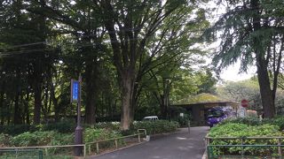 石神井公園