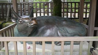 何故ここに神牛？