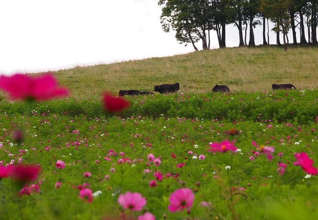 丸加高原健康の郷