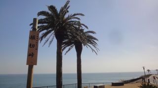 道の駅フェニックス近く。