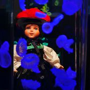 【横浜人形の家】奥田エイメイ　浮遊体アート・人工クラゲと人形たちの対話