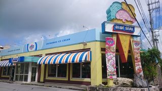 沖縄に行ったら