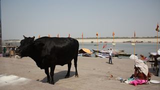 市内からは遠い