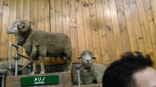 大人も子供も楽しめる