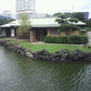 中島の御茶屋は、浜離宮恩賜庭園の潮入りの池のほぼ中央にある休憩所です。