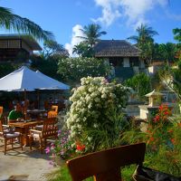 中庭。朝は朝食会場に…