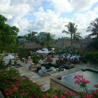 庭は本当にきれいです。