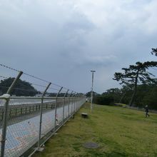 海沿いのプロムナード