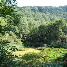 志賀自然教育園の風景です。