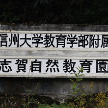 入口付近の看板