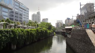 歌にもなりました