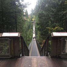 吊り橋裏側より