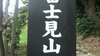 浜離宮恩賜公園の富士見山は、浜離宮の南東端にある小高い丘で、庭園内を望めます。