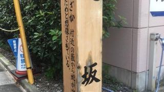 蛇が出ることに由来しているそうですが・・・